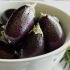 Berinjela