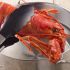 Por que cozinhamos lagostas vivas e elas estão realmente gritando?