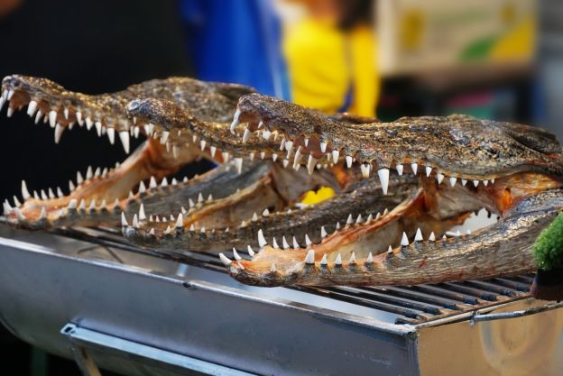 Os alimentos mais estranhos do mundo...