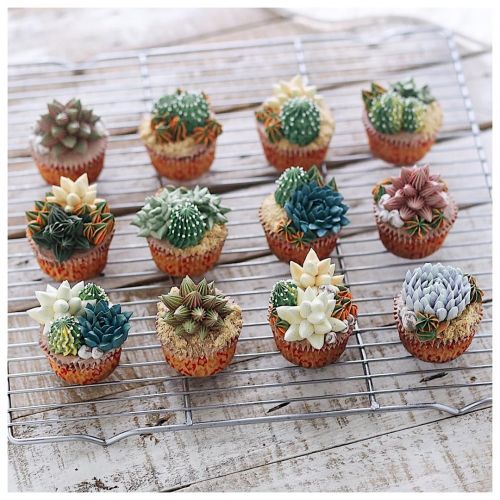 Cupcakes ou plantas de verdade?