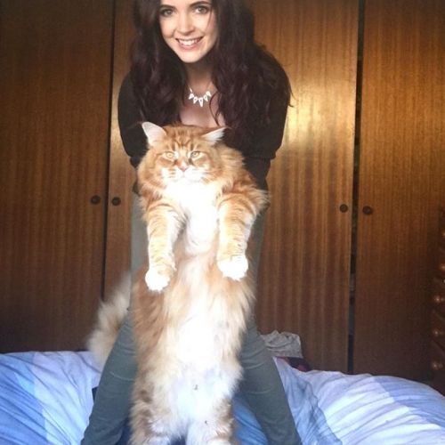 04. Omar e sua Tutora