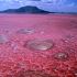 Lago Natron, na Tanzânia