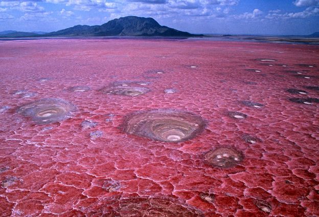 Lago Natron, na Tanzânia