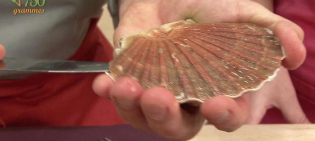 Conselho 1: abrir as conchas das vieiras