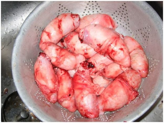 Testículos de búfalo - Estados Unidos