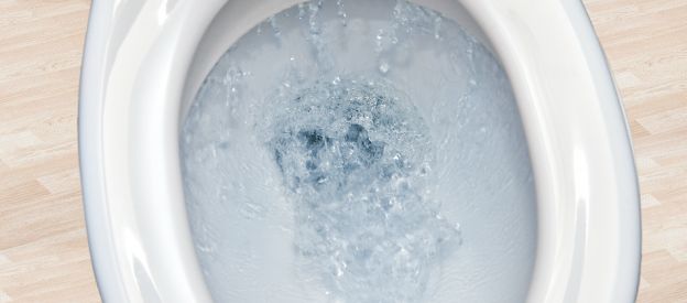 1. SIFÃO DO VASO SANITÁRIO