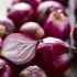 Cebola roxa