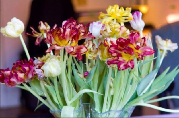 <strong>2. </strong><strong> Prolongue a vida de suas flores</strong>