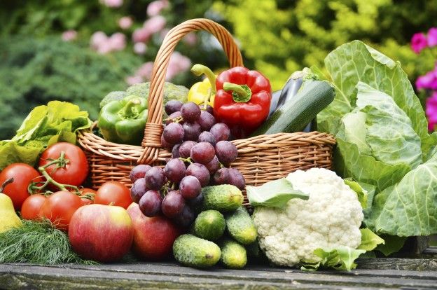 Zero frutas e legumes