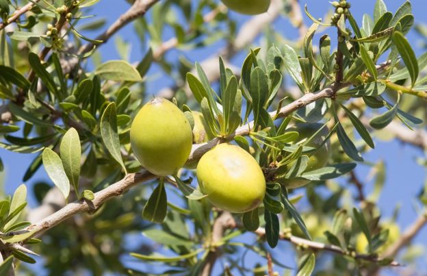 3. Aumenta ottimismo e energia