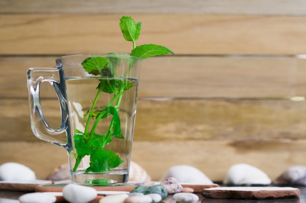 Água quente com hortelã