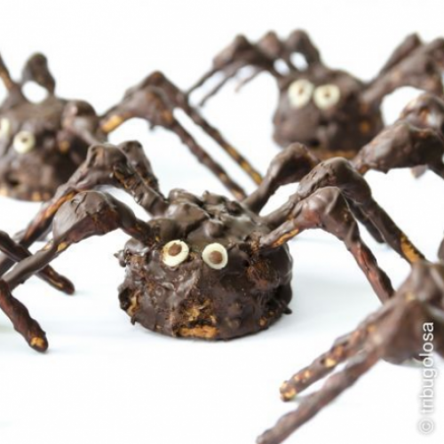 ARanhas  DE CHOCOLATE