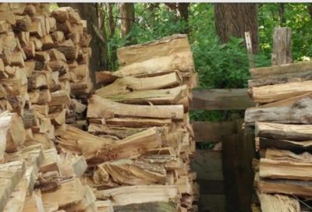 Este enigma está deixando a internet louca!