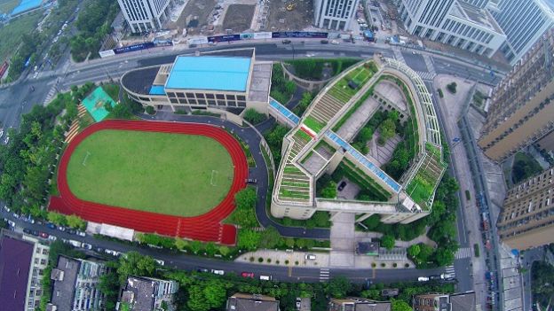 1. Vista aérea da horta urbana cultivada por escola chinesa