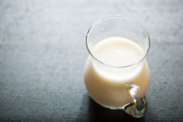1. A lactose é uma proteína