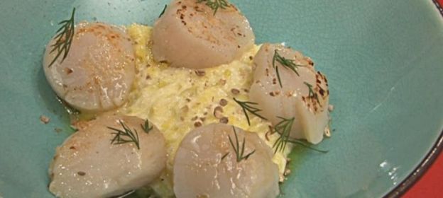 Conselho 2: cozinhar as vieiras