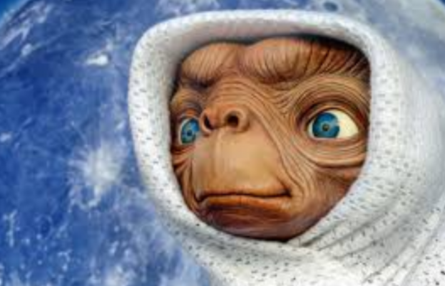 Leão tem o coração na cabeça