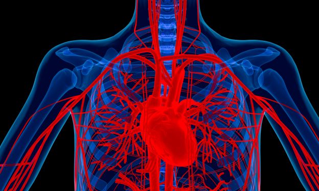 Circulando! Circulando!