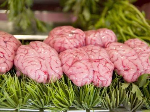 Cérebro de vaca - Europa, Estados Unidos, Asia e Brasil