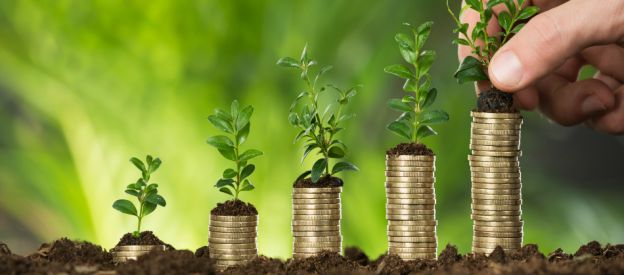 Coma melhor, economizando dinheiro