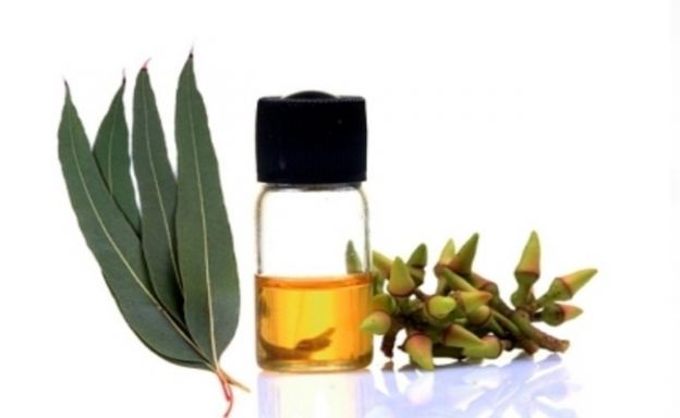 <strong>5 óLEO DE EUCALIPTO</strong>