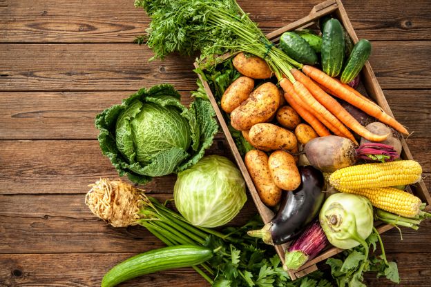 Os produtos orgânicos