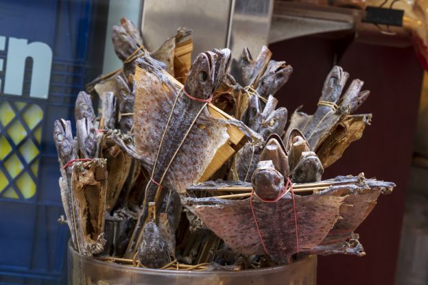 Lagartos dessecados - China