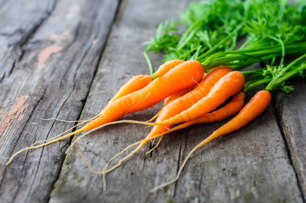 Benefícios do xarope de cenoura