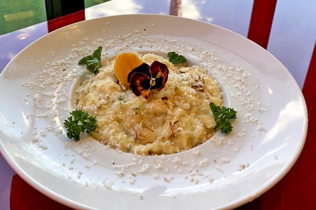 RISOTO DE QUEIJO BRIE COM CUPUAÇU