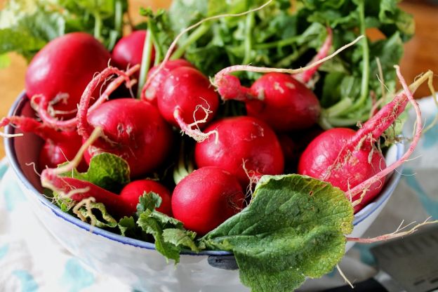 CONHEÇA AS PROPRIEDADES DO rabanete