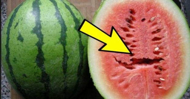 portanto, se ao abrir a melancia, você vir isto, não coma!