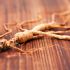 GINSENG