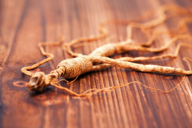 GINSENG
