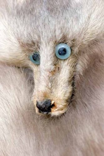 Alguém sabe o que era isto?