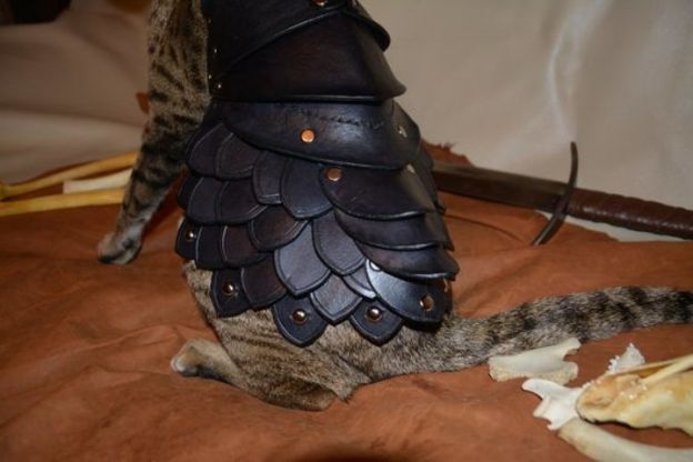 Cat Battle Armor (Armadura de batalha para gato)