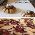 7.biscoitos de aranha fumigados