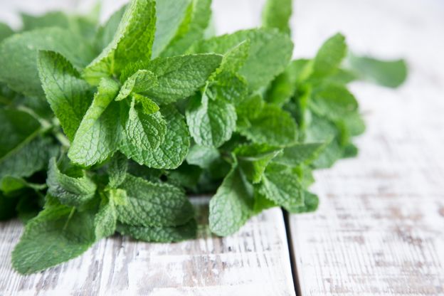 2. Chá de hortelã