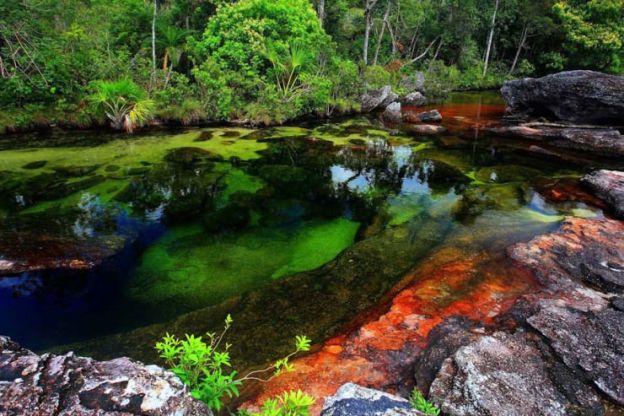 Rio Caño Cristales