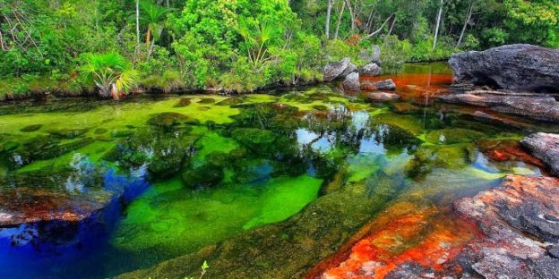 Rio Caño Cristales