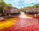 CAÑO CRISTALES, o impressionante rio de 05 cores