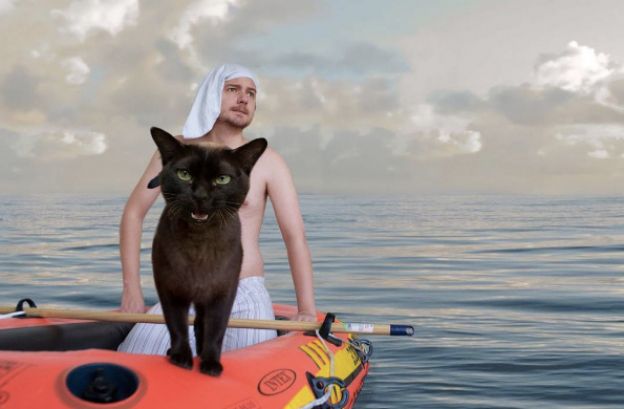 2. Gatos no Cinema: qual é o filme?