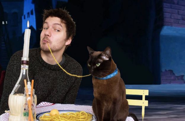 4. Gatos no Cinema: qual é o filme?