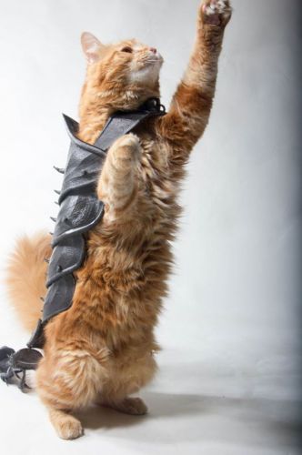 Cat Battle Armor (Armadura de batalha para gato)