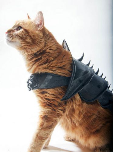 Cat Battle Armor (Armadura de batalha para gato)