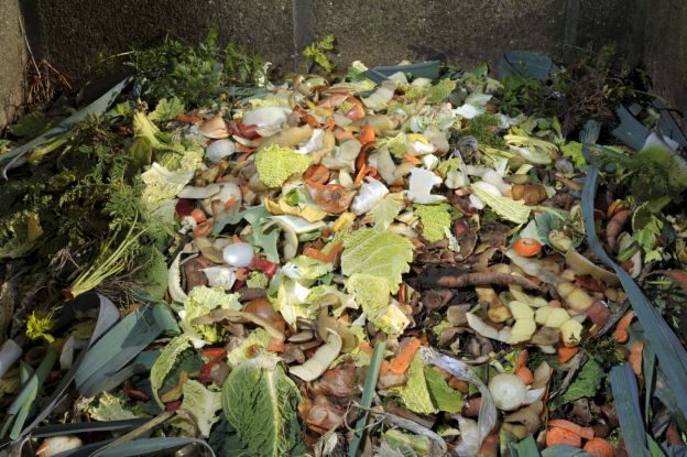 Se não quer, não desperdice!