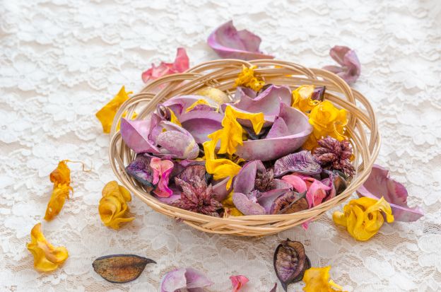 Pot pourri