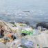 É alarmante a quantidade de lixo encontrada dentro dos animais marinhos