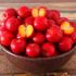 Acerola