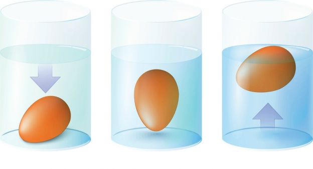 Verificação de frescura