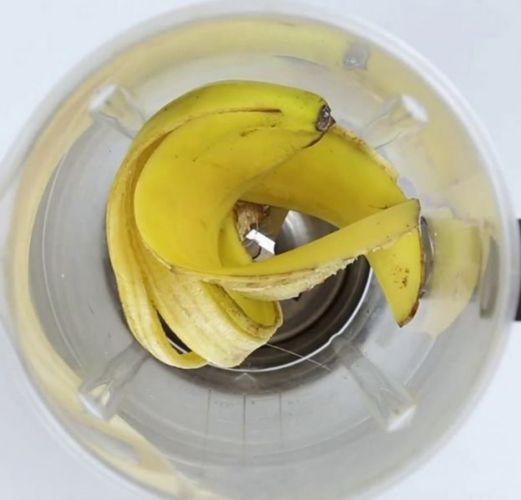 casca de uma banana